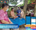 Pendataan Dan Edukasi Penduduk Nonpermanen Perihal Aplikasi Pendaftaran Penduduk Nonpermanen Di Desa Sumberkima kec. gerokgak, Desa Penuktukan Dan Desa Sambirenteng kec. tejakula